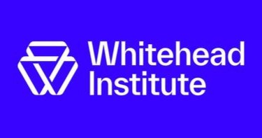 Whitehead Institute